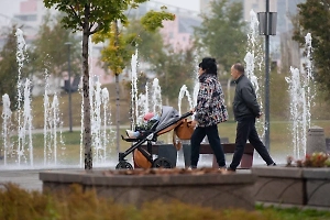 В Госдуме объяснили, что включает стратегия «семейноцентризма»