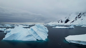 «Создавал атмосферу страха»: Появились подробности нападения психа-учёного на коллег в Антарктиде
