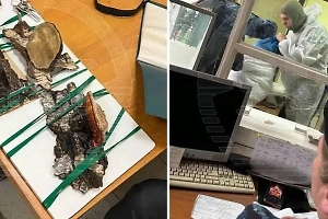 «Прокурор-сновидец» снова явился на суд Мизулиной против Лебедева и Дудя*. У него с собой грибы и нож