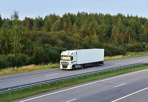 Путин указал на решение одной из двух главных исторических проблем России