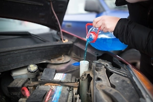 Слепота, мигрени и смерть: В Петербурге нашли самую опасную незамерзайку-убийцу