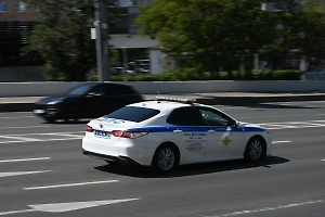 В Краснодаре прохожие задушили стаффорда, растерзавшего собаку и напавшего на свою хозяйку