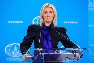 Захарова в трёх пунктах высмеяла призыв американского сенатора вторгнуться в Нидерланды