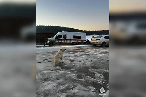 Провалившийся под лёд хозяин «башкирской Хатико» на том же месте 7 лет назад потерял жену и друга