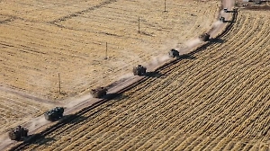ВС Сирии проводят операции в Хомсе, Алеппо и Хаме, террористы несут потери