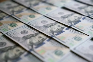 В Минэкономразвития объяснили проблемы россиян с «зелёными» и «белыми» долларами за рубежом