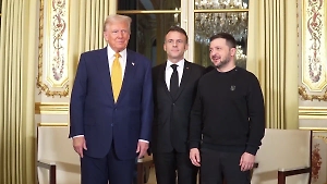 Зеленского втоптали в грязь на Украине за «наряд гопника» на встрече с Трампом и Макроном