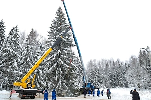 Главная ёлка страны 2024–2025: какой будет и как на неё посмотреть

