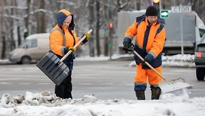 Вакансий больше, чем желающих: Названы самые востребованные профессии в России