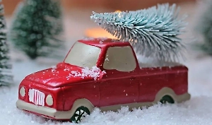 Россиян предупредили о штрафе за неправильную перевозку новогодней ели