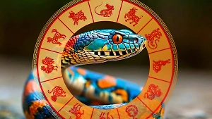 Китайский гороскоп 2025: Каким животным год Змеи принесёт долгожданное счастье