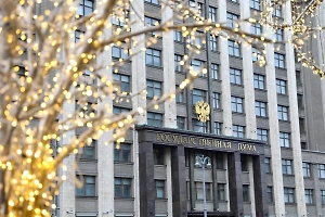 «Вполне справедливо»: В ГД призвали защитить российские компании, освоившие ниши ушедших брендов