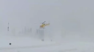 Появилось видео с места схода смертоносной лавины на группу россиян в Гималаях