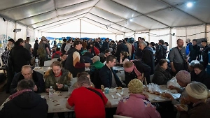 В Британии каждый 14-й украинский беженец оказался на улице