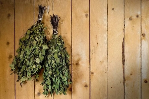 МВД РФ ответило на ноту МИД Киргизии о массовом задержании мигрантов в бане