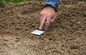 В Новосибирской области нашли тело пропавшего две недели назад подростка