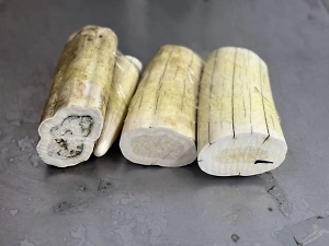 3 кг бивней моржа таможенники нашли в трусиках россиянки