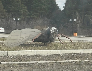 Неприятно её созерцать: В Тюменской области жители требуют избавиться от страшной «пчеломухи»