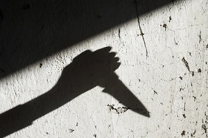 Напавшим на элитную школу в Горках-2 оказался 15-летний девятиклассник