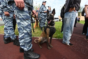 Подростков, готовивших теракт в Новокузнецке, было двое. Кураторы обещали им за подрыв всего $50