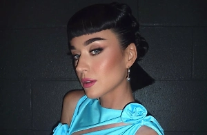 Кэти Перри подала в суд на Кэти Перри