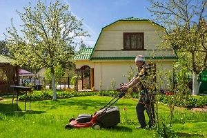 За что и на сколько будут штрафовать дачников в 2025 году: 10 новых штрафов
