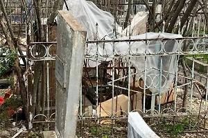 В Пятигорске зооактивисты устроили собачий приют прямо на могилах