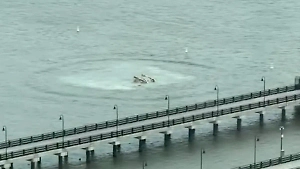 Появилось полное видео падения вертолёта с семьёй топ-менеджера Siemens в Гудзон