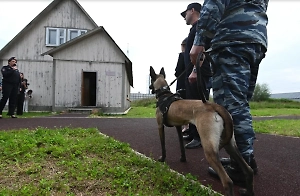 МВД подготовило реформу предоставления убежища в России
