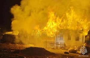 Мать погибших при пожаре в Василовке детей экстренно приехала к выжившей дочери