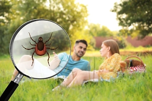 7 гениальных лайфхаков, как не стать жертвой клещей на первомайских шашлыках