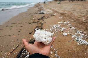 Прокуратура начала проверку после выброса пальмового масла в Анапе