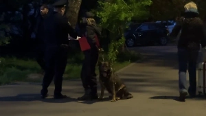 Прокуратура показала видео с девушкой, угрожавшей офису микрозаймов в Москве