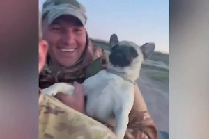 Мохнатый талисман: Боевой мопс Кузьмич стал душой подразделения штурмовиков в зоне СВО