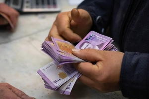 Сирия заменит изображения Асада на купюрах на оливки, розы и апельсины