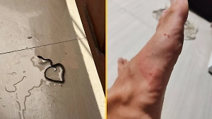 Ползают по отелям: Ядовитые змеи массово атакуют российских туристов на Бали