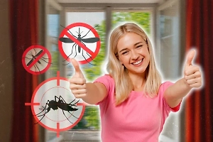 Окна в жару теперь можно не закрывать: 5 рабочих лайфхаков, как отпугнуть комаров без химии