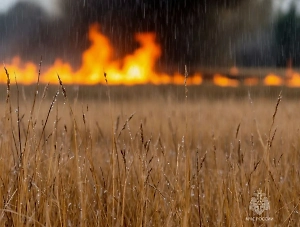 «Роскосмос» прокомментировал ситуацию с природными пожарами у Восточного