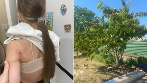 Под Ростовом пенсионер открыл стрельбу по детям из-за черешни