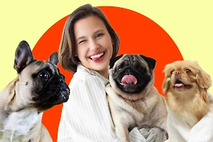 Эти 6 пород собак можно завести даже в самой крошечной квартире — они не доставят хлопот