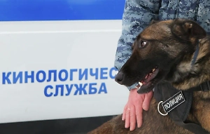 Подозрительную коробку нашли под днищем внедорожника на Ленинском проспекте в Москве