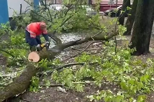 Коммунальщики оперативно занялись ликвидацией последствий непогоды в Москве