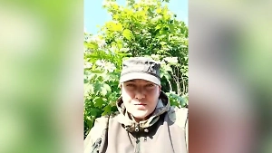 «Надежда не умирает»: Савченко вышла на связь из кустов калины и сообщила, что ещё жива