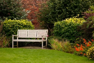 Дачникам рассказали, за какие грибы и растения на участке грозит тюрьма