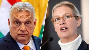 Потрясённый произволом в Германии Орбан пообещал поддержку главе АдГ