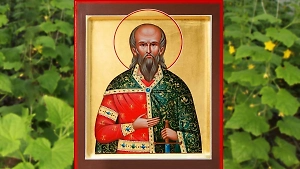 Рыжие кошки, святая вода и лягушки: Маг рассказал, как провести день Тимофея Грядочника 2 июня