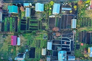 Россиянам с 1 сентября запрещено продавать землю отдельно от дачи