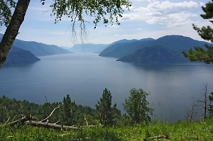 Учёные обнаружили на дне Телецкого озера на Алтае «лес мертвецов»