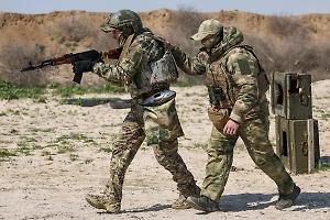 Российские войска до начала перемирия освободили Троицкое в ДНР
