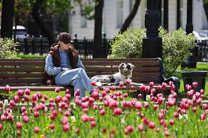 Погода в мае 2025 в Москве и Санкт-Петербурге
